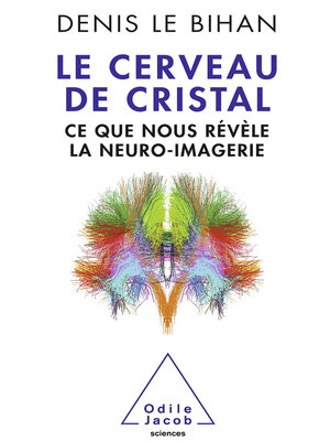 cover image of Le Cerveau de cristal